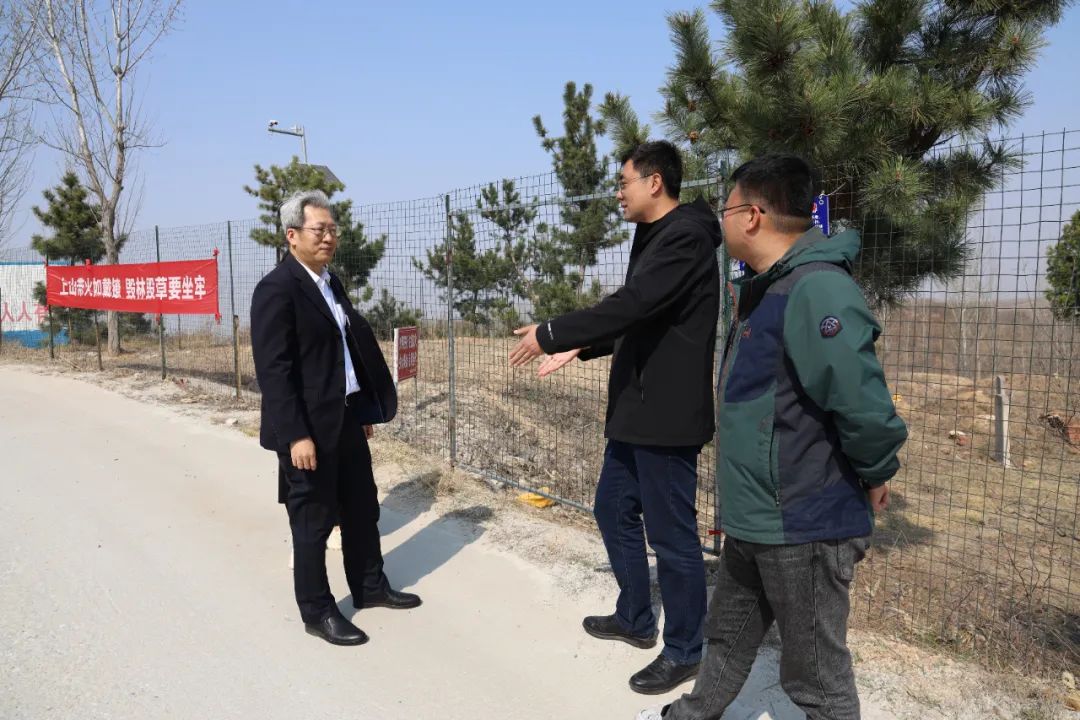 【提质增效年】洪智勇检察长到南墅镇调研督导森林防火工作