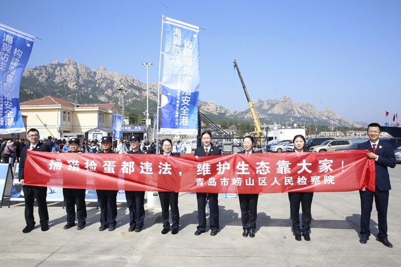 崂山区检察院：以“法治之翼”，守护海鸟家园